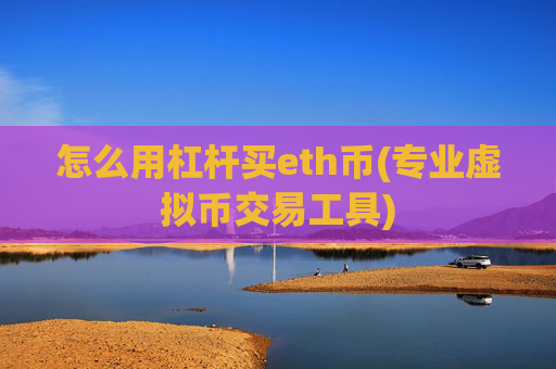 怎么用杠杆买eth币(专业虚拟币交易工具)