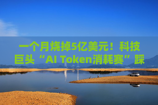 一个月烧掉5亿美元！科技巨头“AI Token消耗赛”踩下急刹