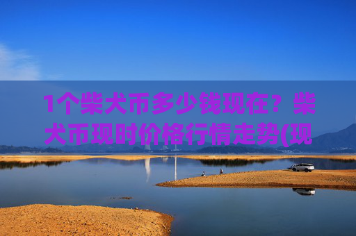 1个柴犬币多少钱现在？柴犬币现时价格行情走势(现价0.00017626元)