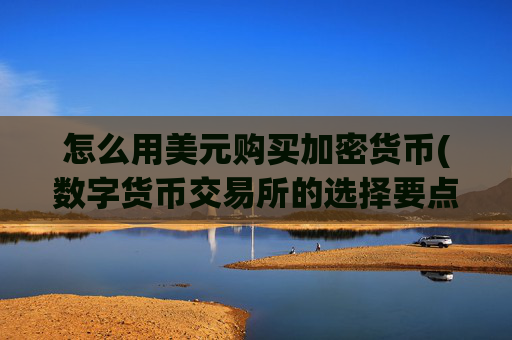 怎么用美元购买加密货币(数字货币交易所的选择要点)