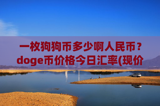 一枚狗狗币多少啊人民币？doge币价格今日汇率(现价2.6392元)