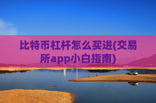 比特币杠杆怎么买进(交易所app小白指南)
