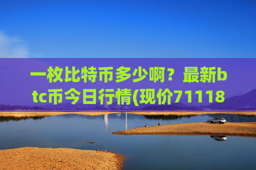 一枚比特币多少啊？最新btc币今日行情(现价711188.12元)