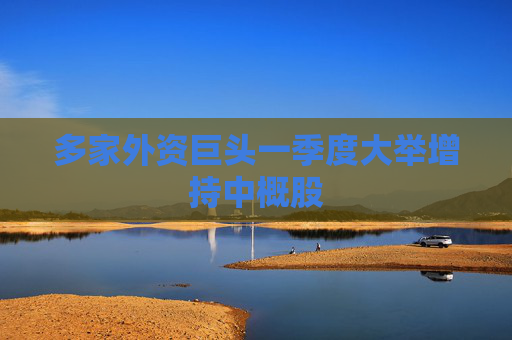 多家外资巨头一季度大举增持中概股