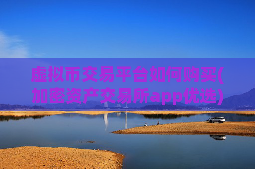 虚拟币交易平台如何购买(加密资产交易所app优选)
