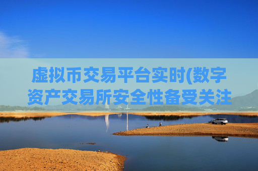 虚拟币交易平台实时(数字资产交易所安全性备受关注)