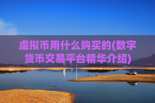 虚拟币用什么购买的(数字货币交易平台精华介绍)