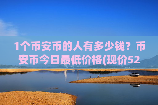 1个币安币的人有多少钱?币安币今日最低价格(现价5275.91元)