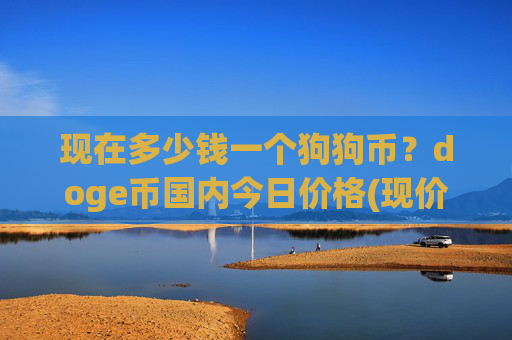 现在多少钱一个狗狗币？doge币国内今日价格(现价3.1689元)