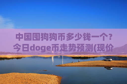 中国囤狗狗币多少钱一个？今日doge币走势预测(现价3.1655元)