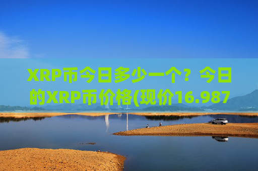 XRP币今日多少一个？今日的XRP币价格(现价16.9879元)
