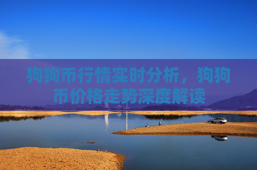 狗狗币行情实时分析，狗狗币价格走势深度解读