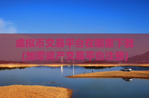 虚拟币交易平台在哪里下载(加密资产交易平台注册)