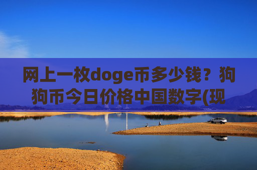 网上一枚doge币多少钱？狗狗币今日价格中国数字(现价3.1684元)