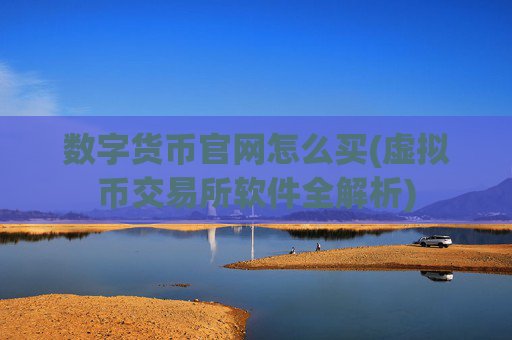 数字货币官网怎么买(虚拟币交易所软件全解析)
