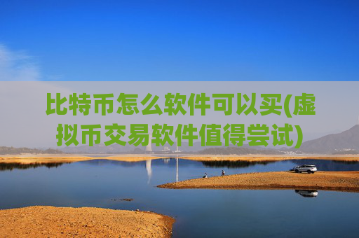 比特币怎么软件可以买(虚拟币交易软件值得尝试)