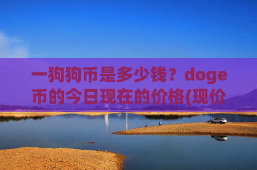 一狗狗币是多少钱？doge币的今日现在的价格(现价2.6646元)