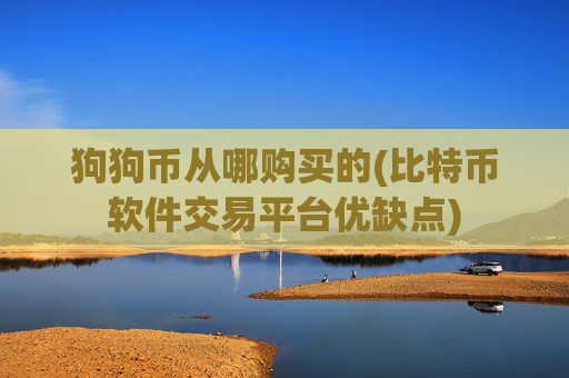 狗狗币从哪购买的(比特币软件交易平台优缺点)
