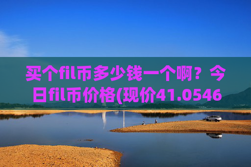 买个fil币多少钱一个啊？今日fil币价格(现价41.0546元)
