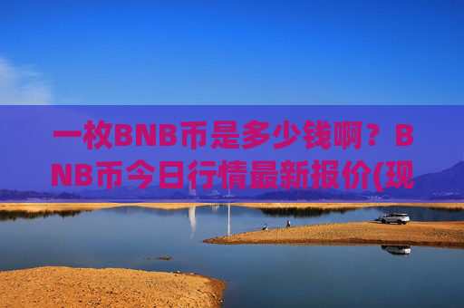 一枚BNB币是多少钱啊？BNB币今日行情最新报价(现价4784.74元)