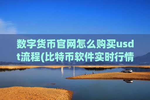 数字货币官网怎么购买usdt流程(比特币软件实时行情更新)