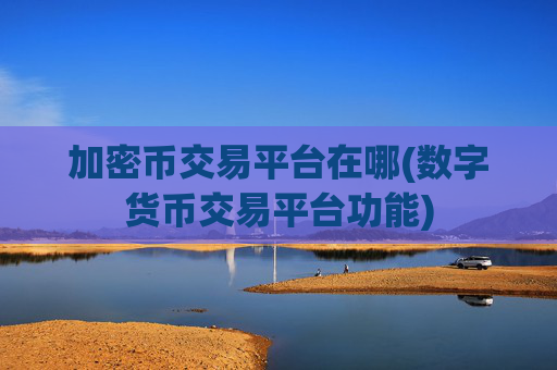 加密币交易平台在哪(数字货币交易平台功能)