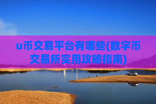 u币交易平台有哪些(数字币交易所实用攻略指南)