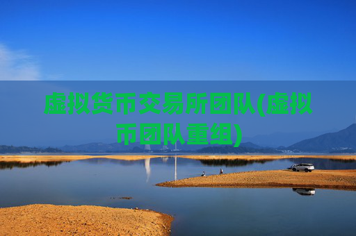 虚拟货币交易所团队(虚拟币团队重组)