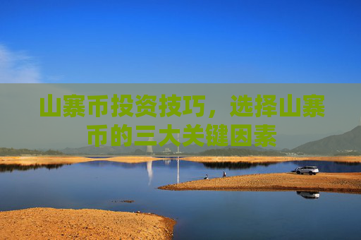 山寨币投资技巧，选择山寨币的三大关键因素