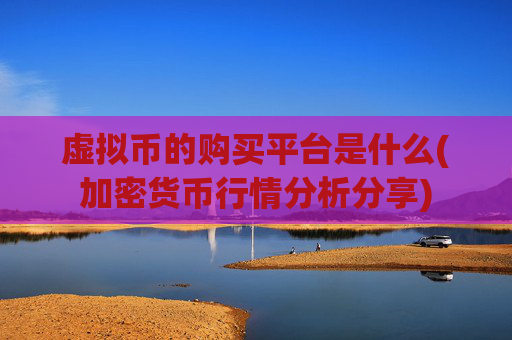 虚拟币的购买平台是什么(加密货币行情分析分享)