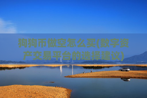 狗狗币做空怎么买(数字资产交易平台的选择建议)