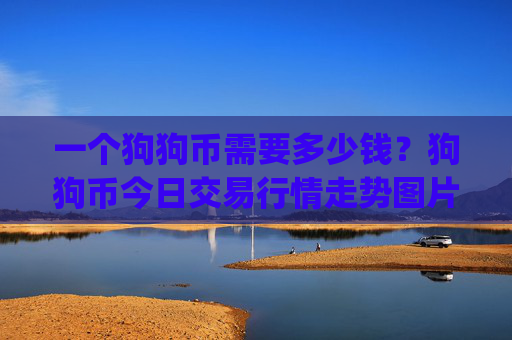 一个狗狗币需要多少钱？狗狗币今日交易行情走势图片(现价3.1609元)