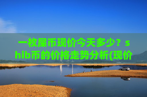 一枚屎币现价今天多少？shib币的价格走势分析(现价0.00022404元)