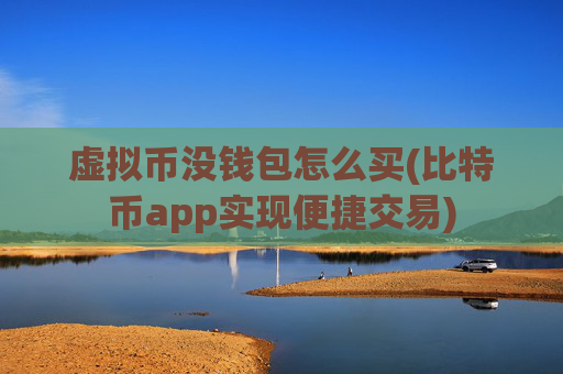 虚拟币没钱包怎么买(比特币app实现便捷交易)