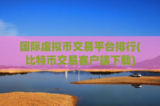 国际虚拟币交易平台排行(比特币交易客户端下载)
