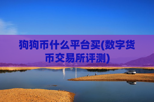 狗狗币什么平台买(数字货币交易所评测)