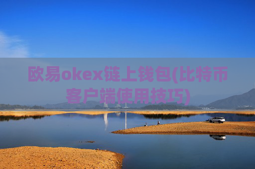欧易okex链上钱包(比特币客户端使用技巧)