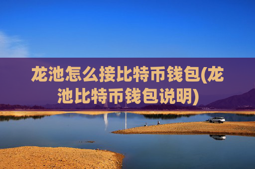 龙池怎么接比特币钱包(龙池比特币钱包说明)