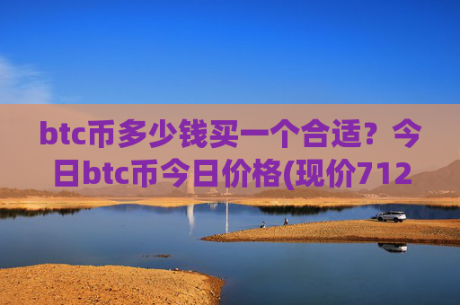 btc币多少钱买一个合适？今日btc币今日价格(现价712194.17元)