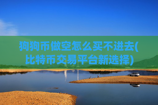狗狗币做空怎么买不进去(比特币交易平台新选择)