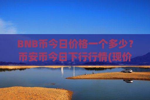 BNB币今日价格一个多少？币安币今日下行行情(现价5302.18元)