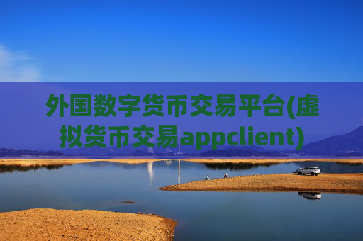 外国数字货币交易平台(虚拟货币交易appclient)