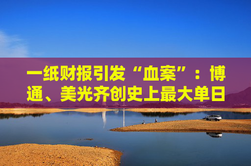 一纸财报引发“血案”：博通、美光齐创史上最大单日市值蒸发记录