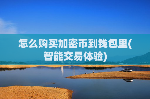 怎么购买加密币到钱包里(智能交易体验)