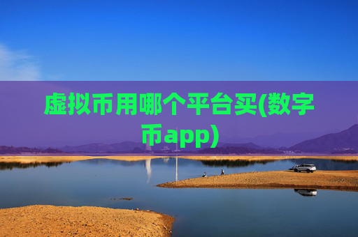 虚拟币用哪个平台买(数字币app)