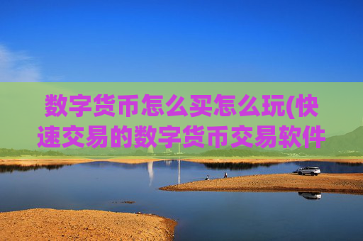 数字货币怎么买怎么玩(快速交易的数字货币交易软件)