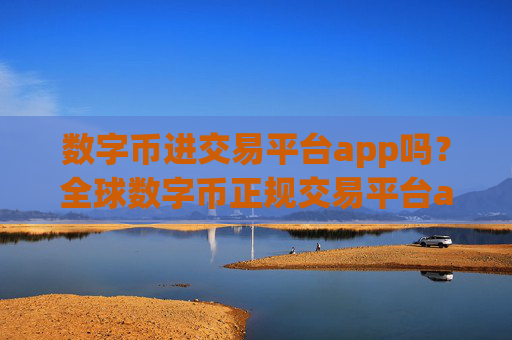 数字币进交易平台app吗？全球数字币正规交易平台app