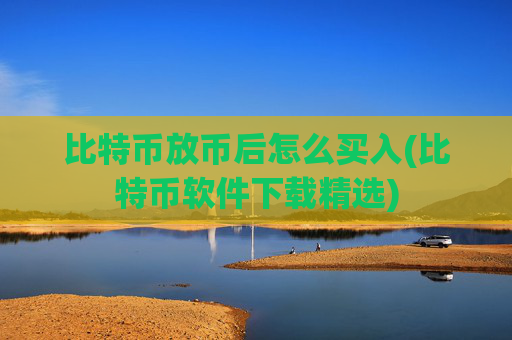 比特币放币后怎么买入(比特币软件下载精选)