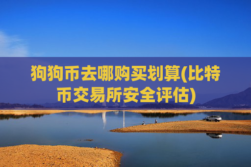 狗狗币去哪购买划算(比特币交易所安全评估)