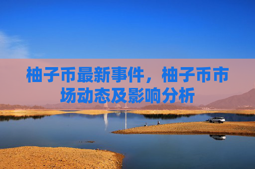 柚子币最新事件，柚子币市场动态及影响分析